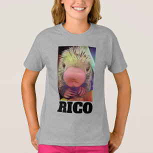 RICO ZOO-STACHELSCHWEIN-T-SHIRT T-Shirt