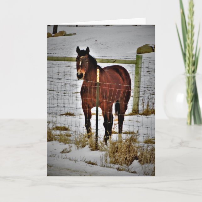 "Ride Away" Geburtstagskarte Karte (Vorderseite)