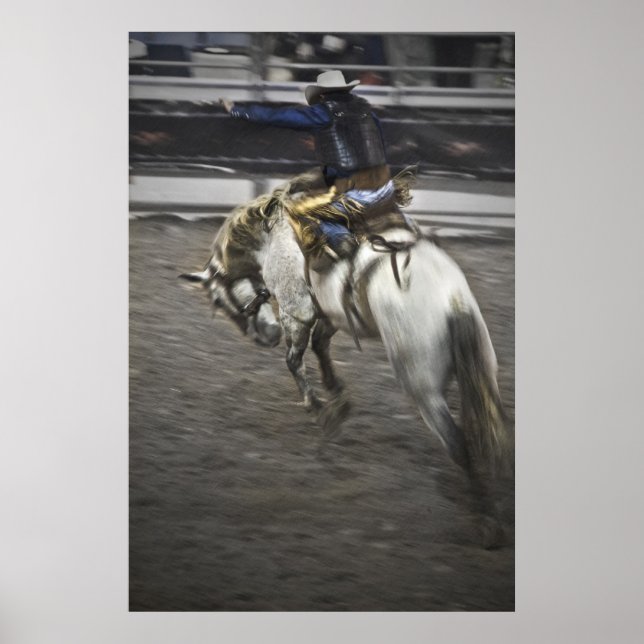 Ride 'Em Cowboy Fine Art Print Poster (Vorne)