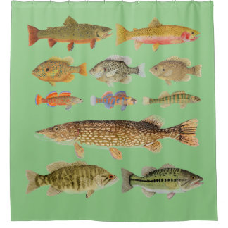 Rideau de douche à poissons d'eau douce