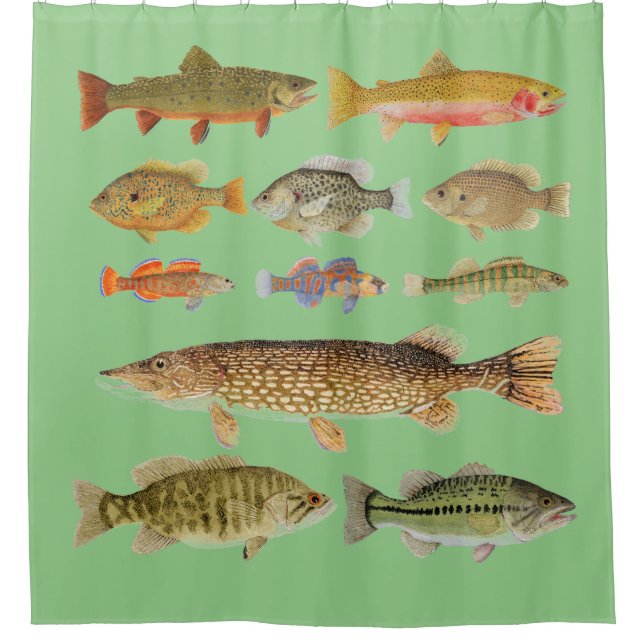 Rideau de douche à poissons d'eau douce (Devant)