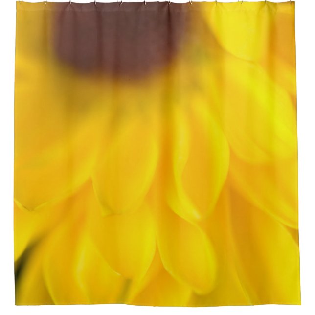 Rideau de douche de marguerite jaune (Devant)