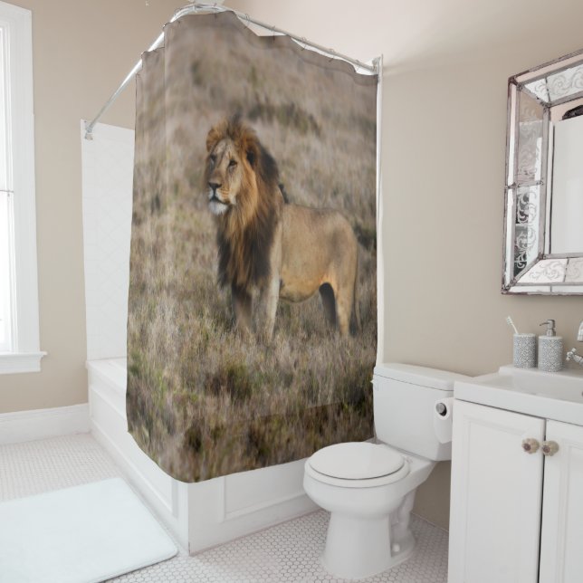Rideau de douche Lion africain sauvage (En situation)