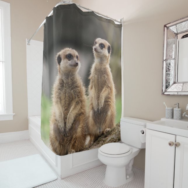 Rideau de douche Meerkat (En situation)