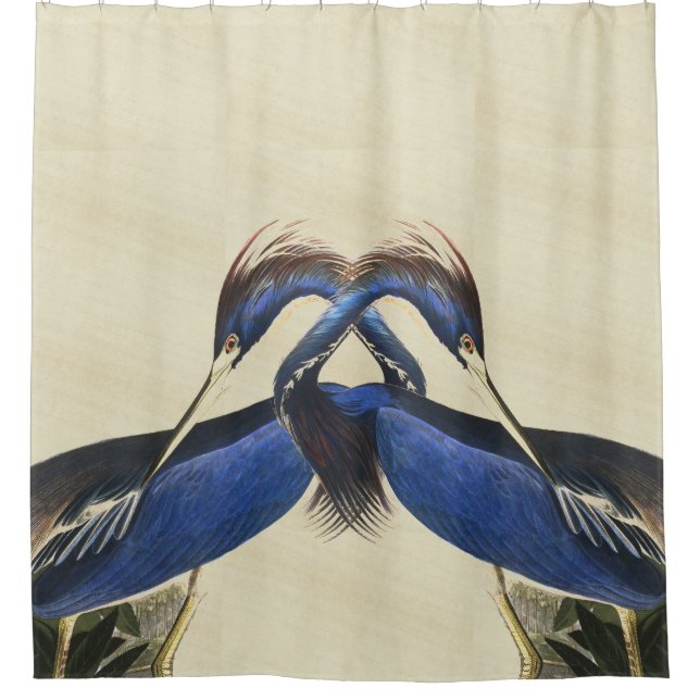 Rideau en douche animal de faune d'oiseaux de (Devant)