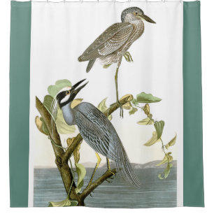 Rideau en douche animal de marécages d'oiseaux de