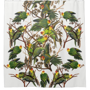 Rideau en douche animal d'oiseau de perroquet