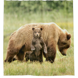 Rideau en douche avec l'ours gris et les petits