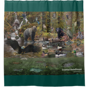 Rideau en douche côtier de forêt tropicale