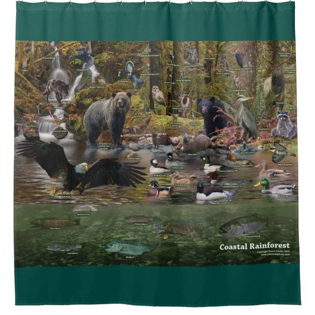 Rideau en douche côtier de forêt tropicale (Devant)