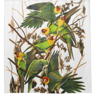 Rideau en douche d'Audubon de faune d'oiseaux de