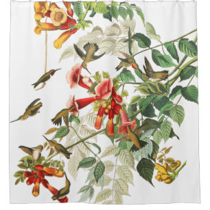 Rideau en douche d'Audubon de faune d'oiseaux de