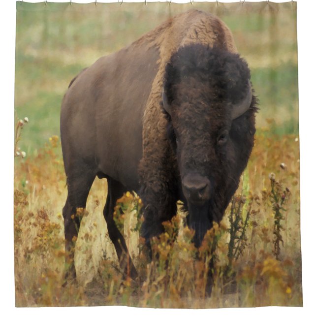 Rideau en douche de bison américain (Devant)