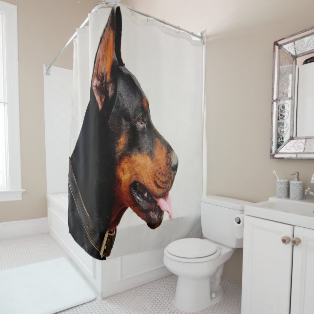 Rideau en douche de dobermann (En situation)