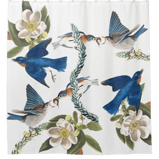 Rideau en douche de faune d'Audubon d'oiseaux (Devant)