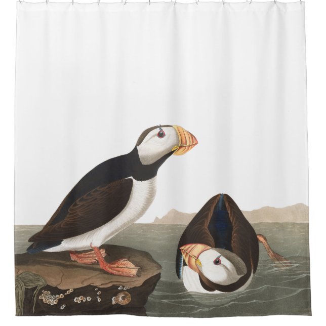 Rideau en douche de faune d'Audubon d'oiseaux de (Devant)