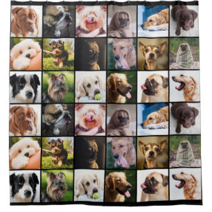 Rideau en douche de l'amoureux des chiens