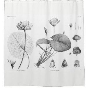Rideau en douche de Lotus
