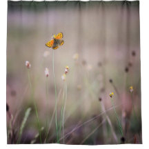 Rideau en douche de papillon