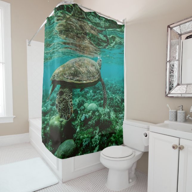 Rideau en douche de tortue de natation (En situation)
