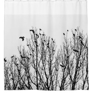 Rideau en douche noir et blanc, oiseau, photo