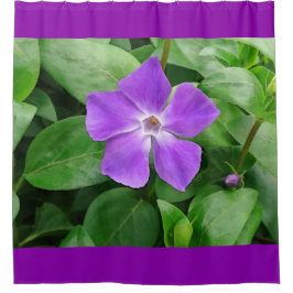Rideau en douche principal de Vinca