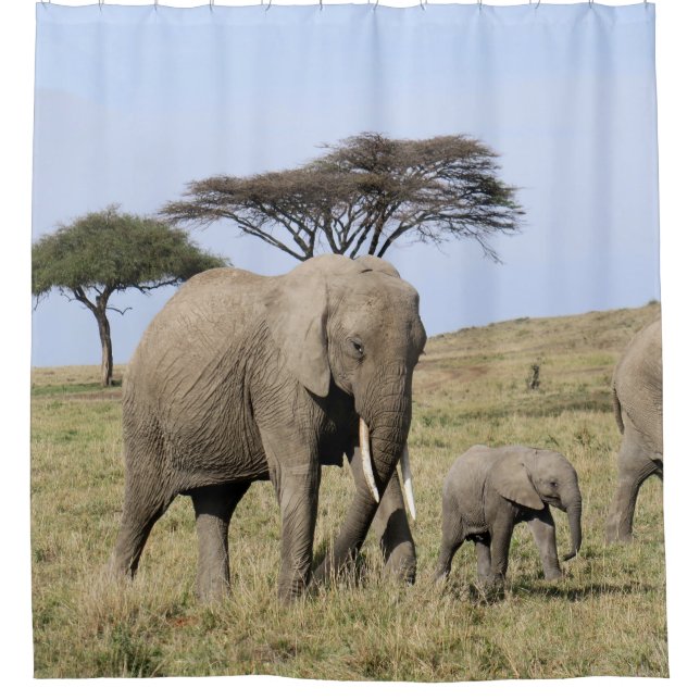 Rideau en éléphant et en baby shower (Devant)