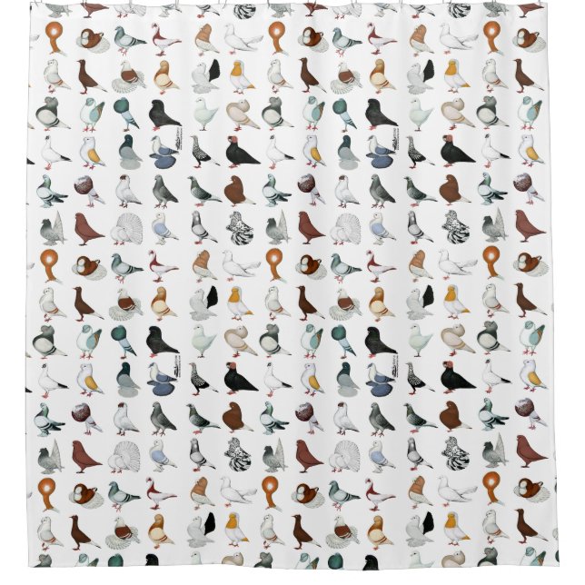 Rideaux De Douche 36 races de pigeon (Devant)