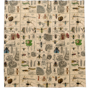 Rideaux De Douche Abeille Insecte Bug Wasp Histoire naturelle abeill