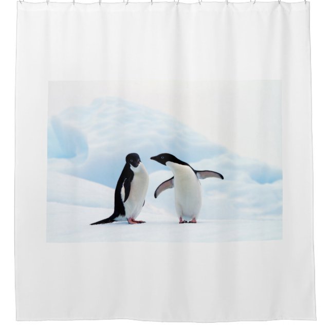 Rideaux De Douche Adelie Penguins (Devant)