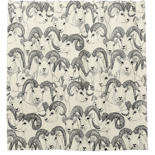 Rideaux De Douche Alaskan Dall mouton perle noire (Devant)