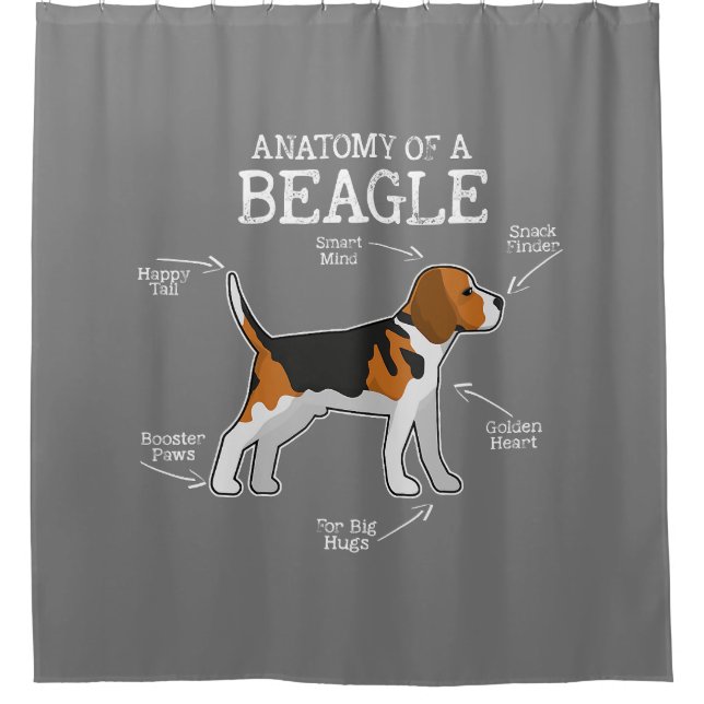 Rideaux De Douche Amateurs beagles/ Anatomie D'Un Beagle (Devant)