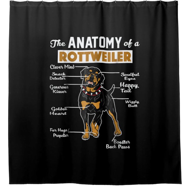 Rideaux De Douche Anatomie d'un Rottweiler (Devant)