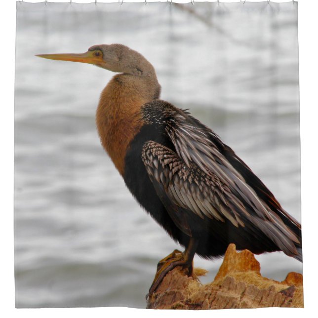 Rideaux De Douche Anhinga On The Lookout (Devant)