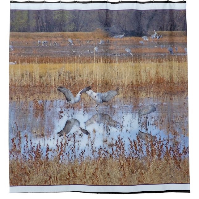 Rideaux De Douche Animal de faune d'oiseaux de grue de Sandhill (Devant)
