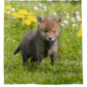 Rideaux De Douche Animal sauvage rouge pelucheux mignon de bébé de