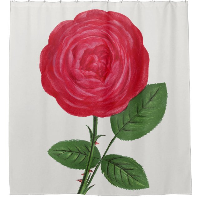 Rideaux De Douche Antique Rose Lithograph, François-Frédéric Grobon (Devant)