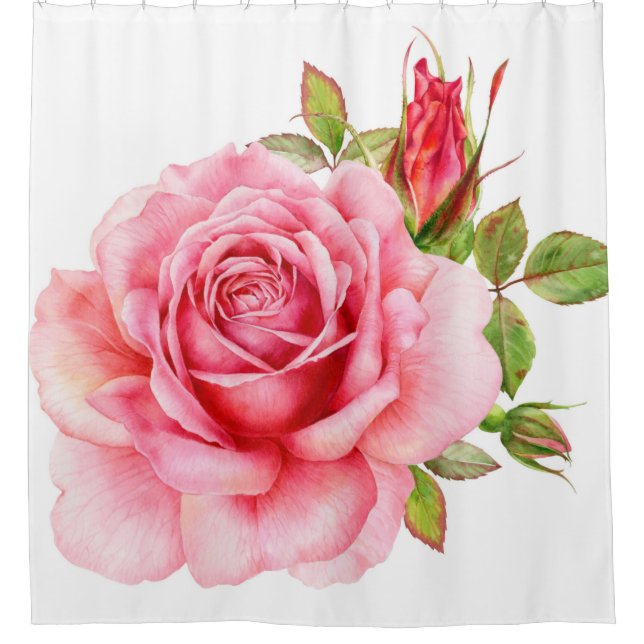 Rideaux De Douche Aquarelle illustration d'une rose rose wi délicate (Devant)