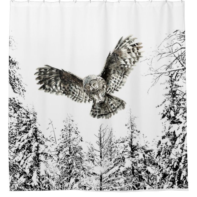 Rideaux De Douche Aquarelle originale Frappe ou Chasse Chouette Oise (Devant)