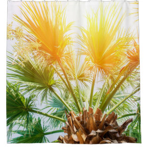 Rideaux De Douche Arbre palmier soleil brillant arrière - plan d'été