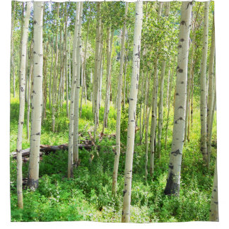 Rideaux De Douche Arbres d'Aspen