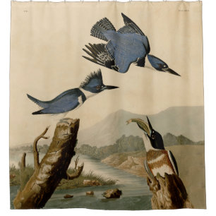 Rideaux De Douche Audubon Belted Kingfisher Wildlife Bird