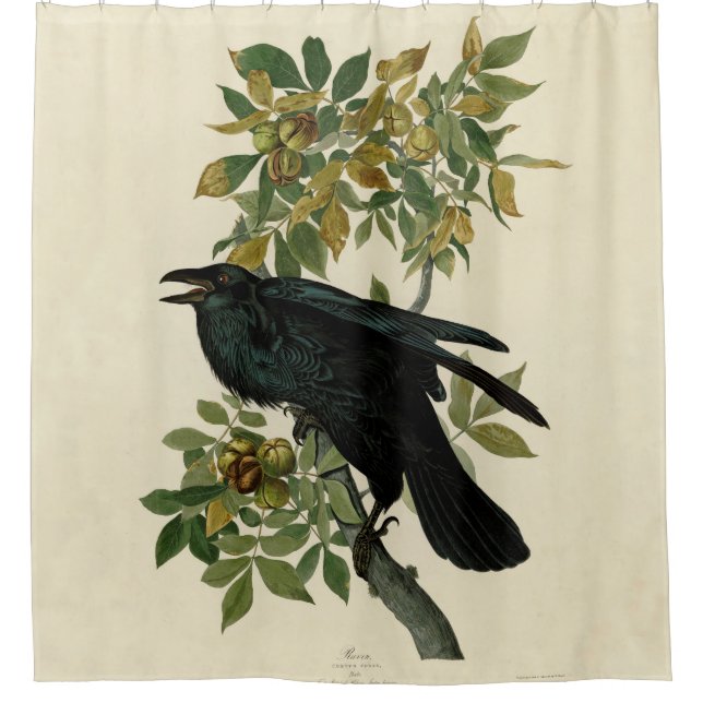 Rideaux De Douche Audubon Raven Oiseau classique (Devant)