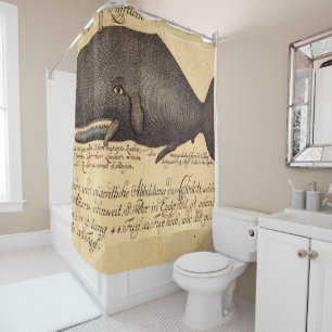 Rideaux De Douche baleine vintage sur le parchemin