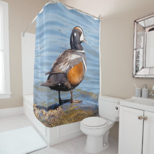 Rideaux De Douche Beau canard arlequin sur le rocher