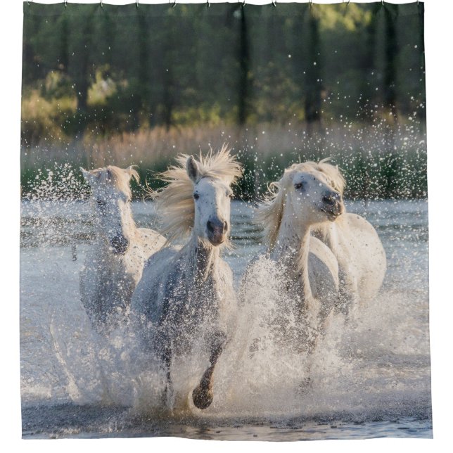 Rideaux De Douche Beau Cheval Blanc Courir dans l'eau (Devant)