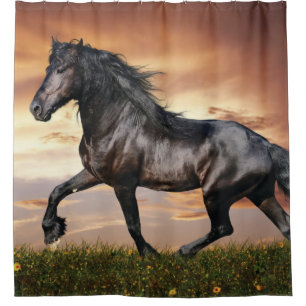 Rideaux De Douche Beau Cheval Noir