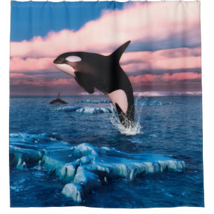 Rideaux De Douche Beaux épaulards dans l'océan arctique