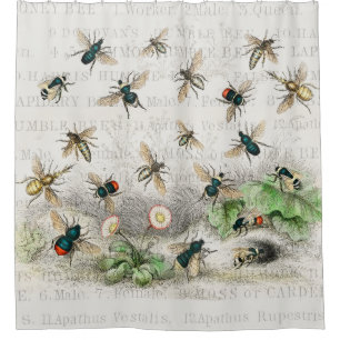 Rideaux De Douche Bee Honey Travailleur Queen Bees Antique
