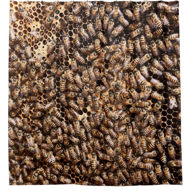 RIDEAUX DE DOUCHE BEEHIVE (Devant)